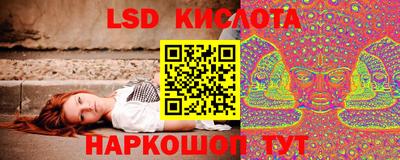 прущие грибы Конаково