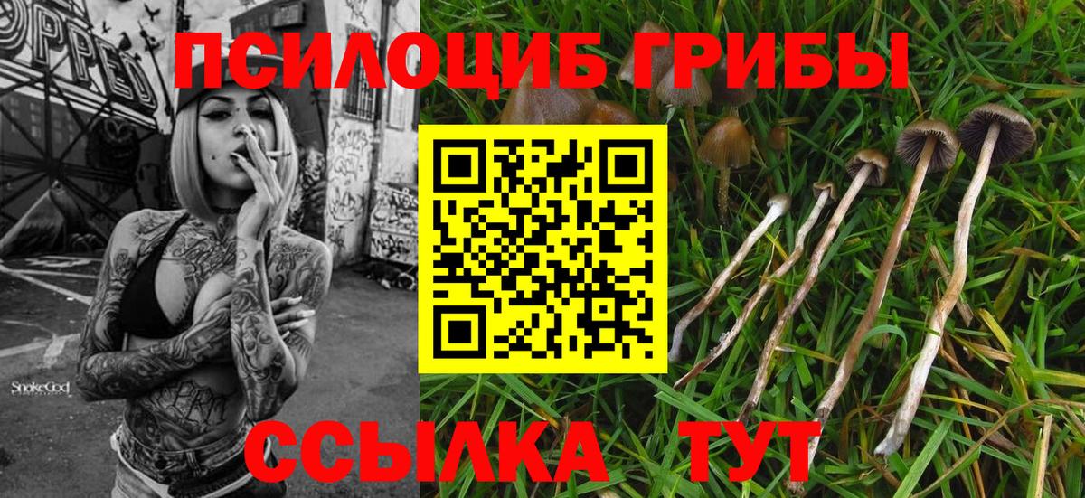 Коммунар  Псилоцибиновые грибы прущие грибы  Вход с VPN  Галлюциногенные грибы прущие грибы 